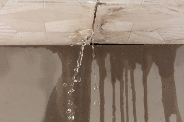Professional Structural Drying technician working in Sorrento, ME